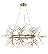 DAMLA 60 LIAVİZE